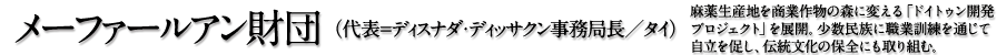 メーファールアン財団